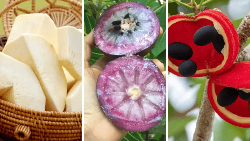 most unique fruits in the world